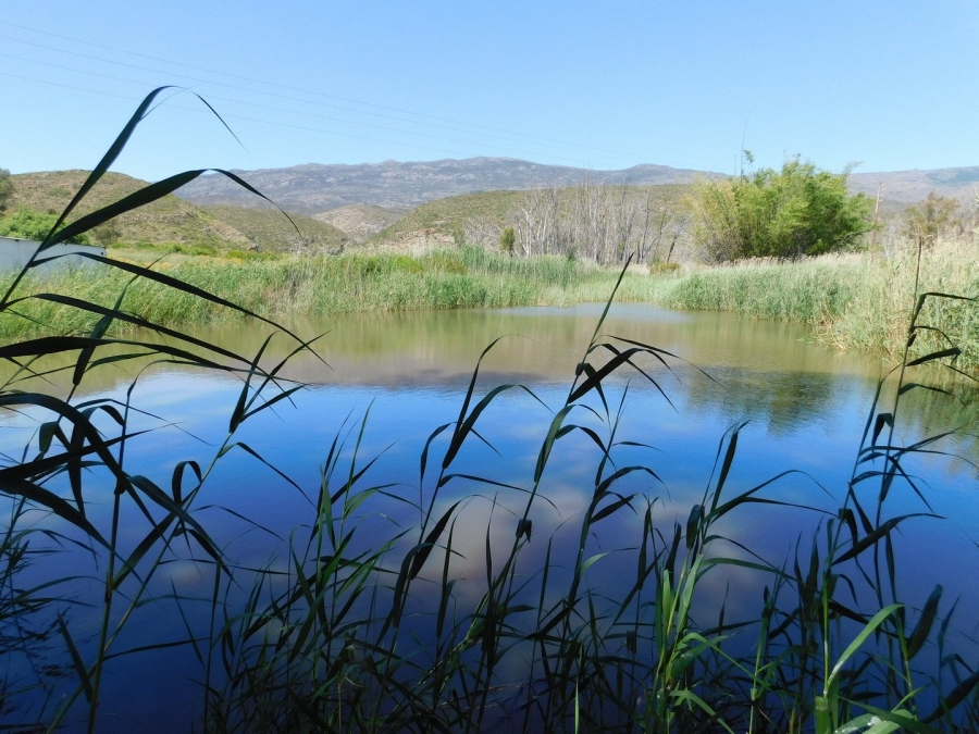 Commercial Property for Sale in Robertson Rural Western Cape